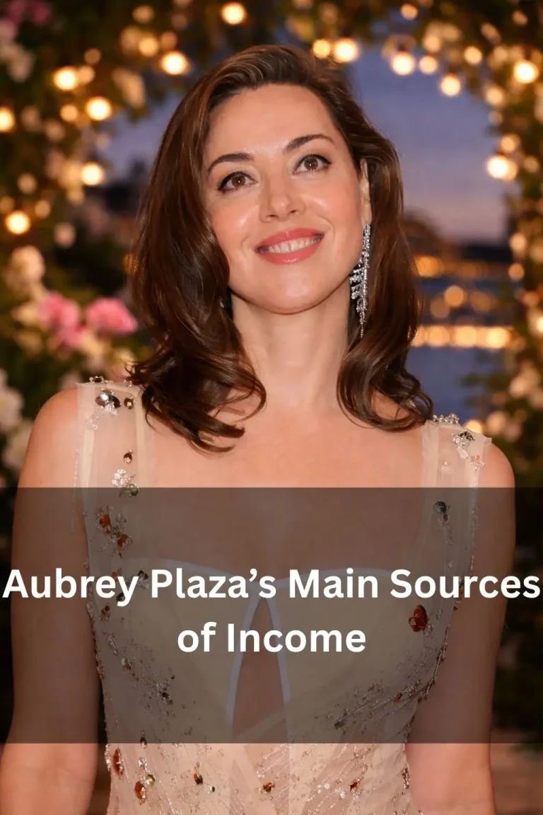 Aubrey Plaza’s Main Sources of Income